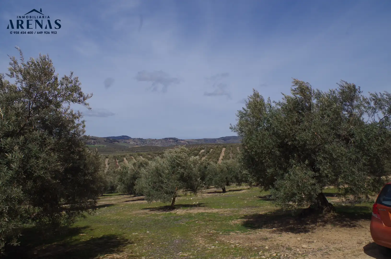 Residential land for sale in Íllora, imagen 8