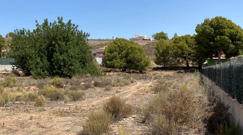 Venta Parcela Rústica en Cañada Hermosa, Totana, immagine 4