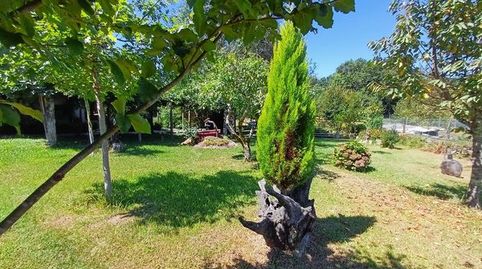 Imatge 3 de l'anunci