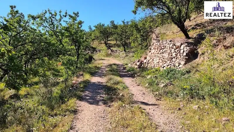 Rural land for sale in Felix, imagen 12