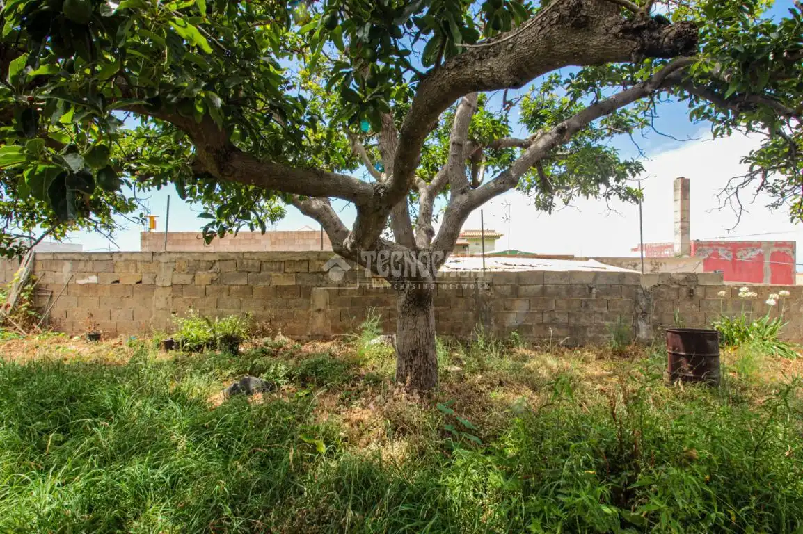 Terreno residencial en venta en El Sauzal, imagen 5
