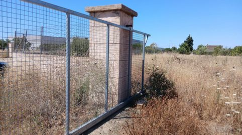 Foto 4 de Finca rústica en venda a Consell, Illes Balears