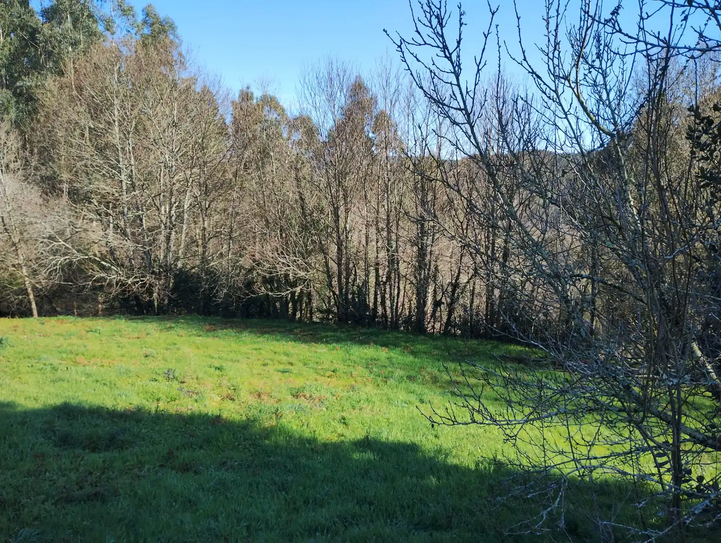 Maison avec jardin à vendre à Vilarmaior, imagen 13