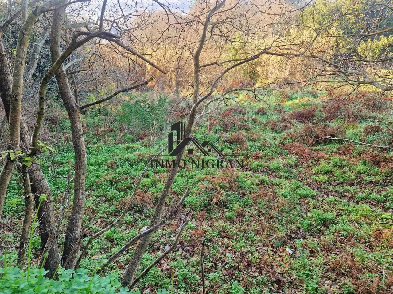 Lands and plots for sale in Camiño Comesaña, imagen 3