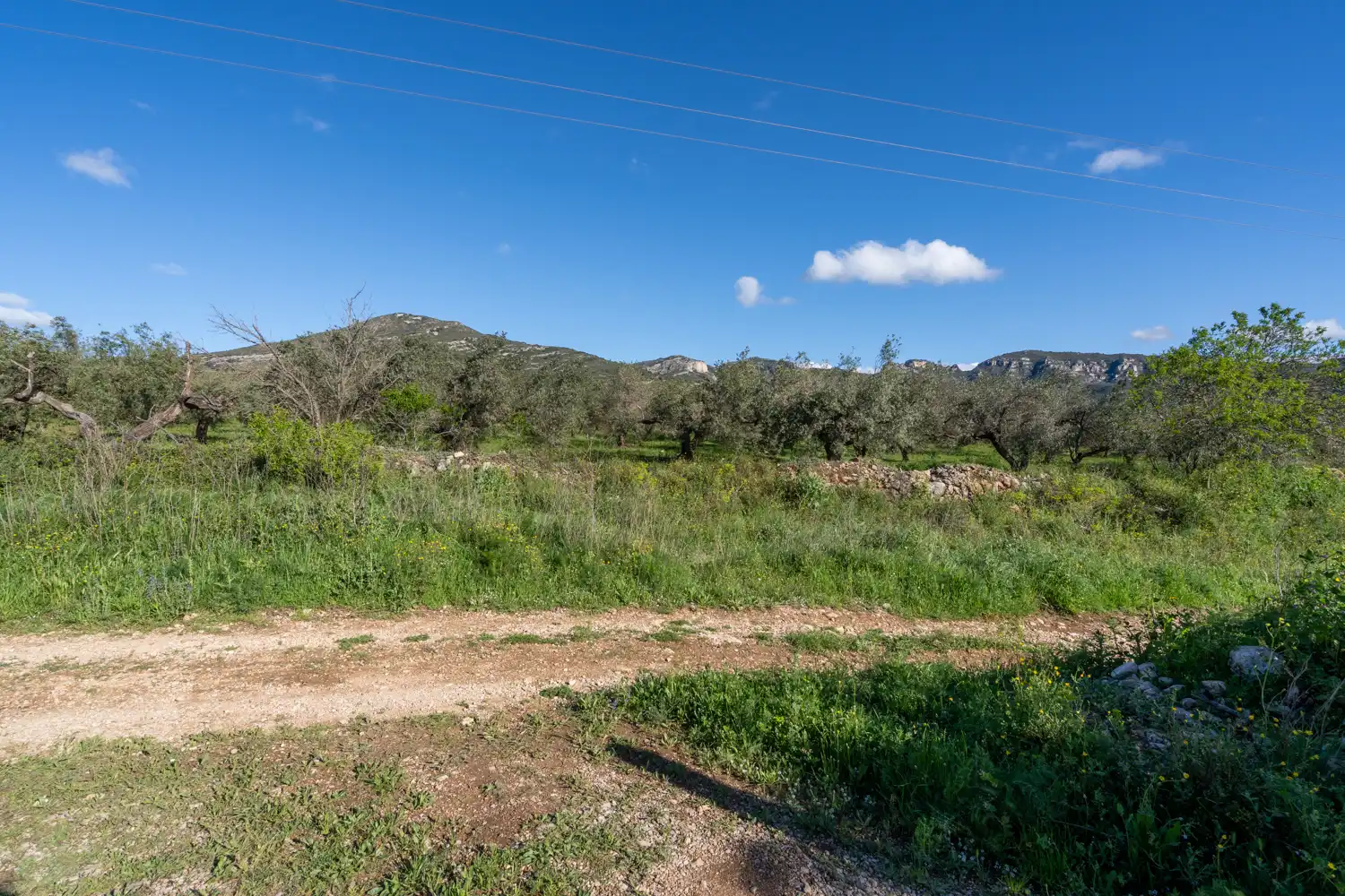 Terreno en venta en Rossell, Castellón