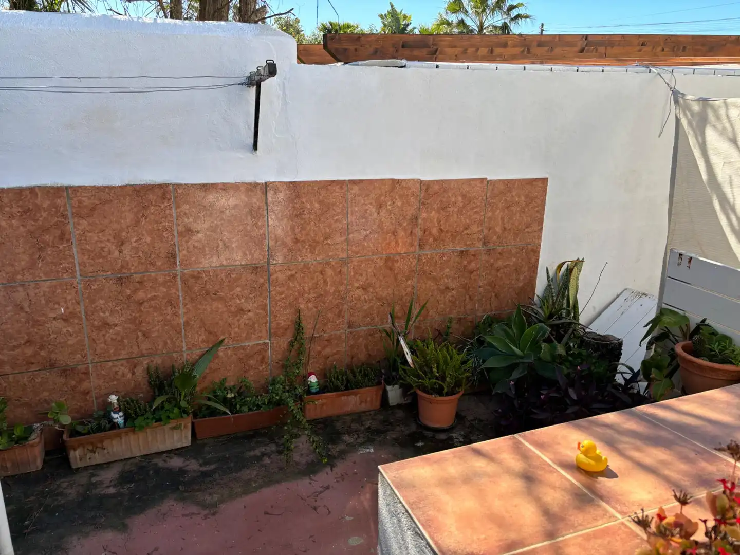 Chalet con terraza en venta en Las Chapas - El Rosario, imagen 12