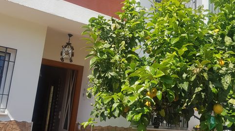 Chalet En Venta Nerja Con 3 Dormitorios, Garaje Y Jacuzzi, image 2