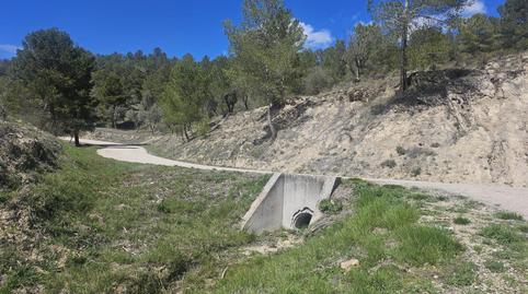 Foto 4 de Terreny en venda a Millena, Alicante
