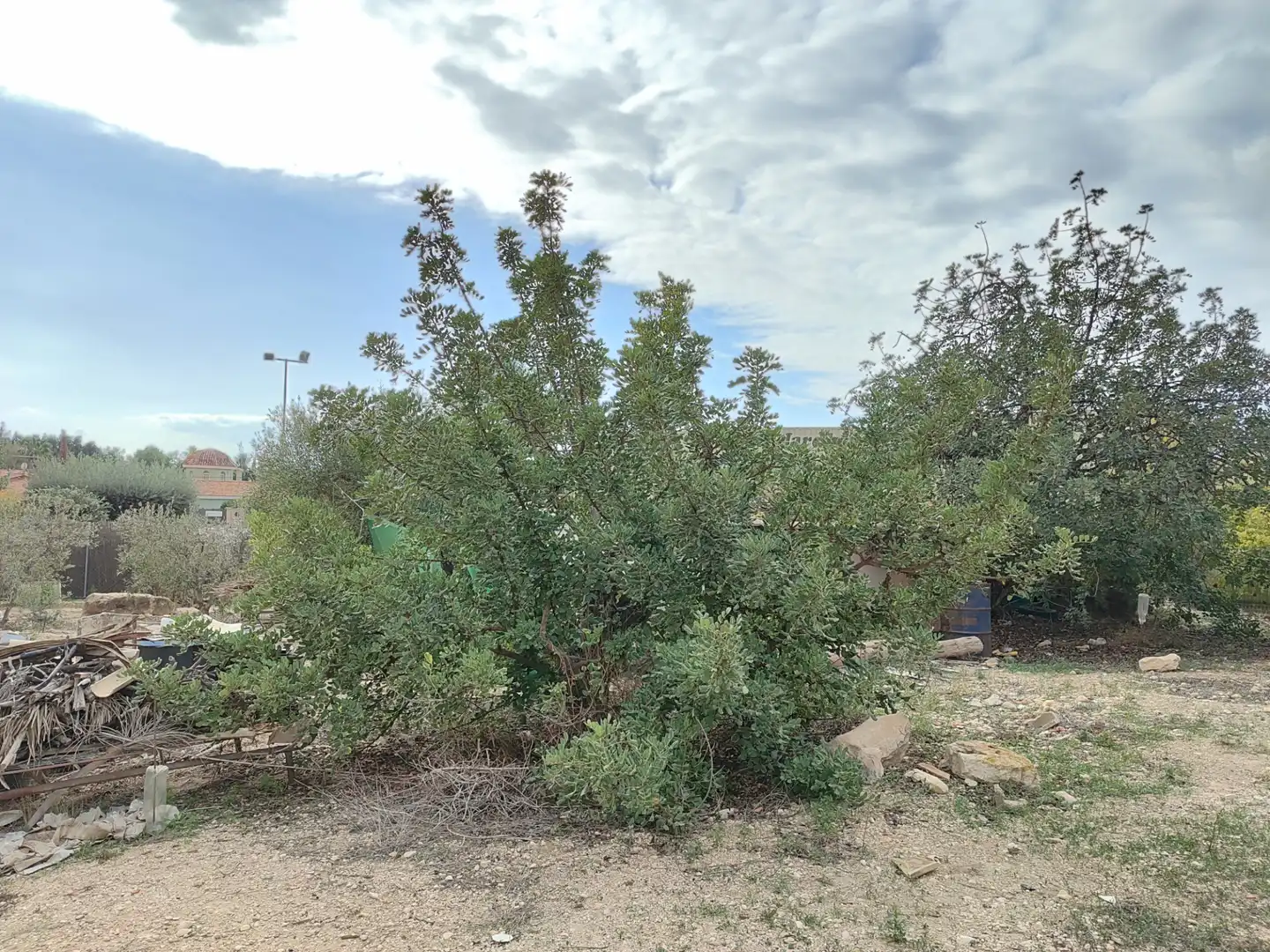 Casa o xalet en venda en Elche / Elx amb Jardí privat, Traster i Moblat