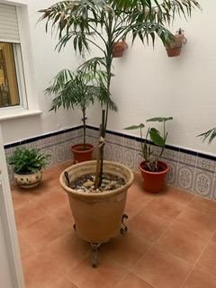 Piso en venta en Centro - Calzada - Cabo Noval, Sanlúcar de Barrameda