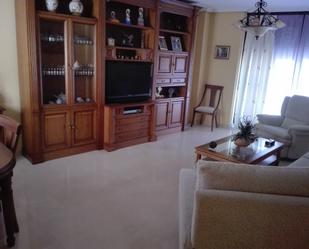 Sala d'estar de Dúplex en venda en Manzanares amb Aire condicionat i Terrassa