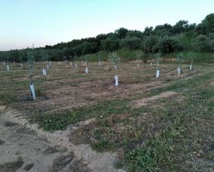 Finca rústica en venda en Lora de Estepa