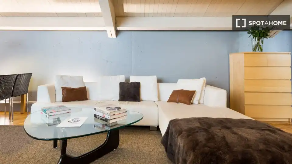 Sala d'estar de Apartament per a compartir en Barcelona amb Aire condicionat, Terrassa i Moblat