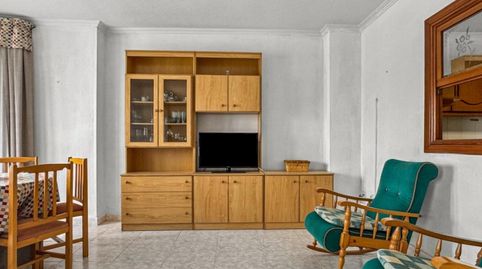 TorreviejaApartamento, imatge 3