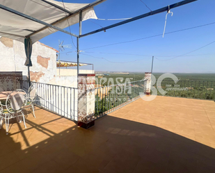 Terrace of House or chalet for sale in Baños de la Encina  with Terrace