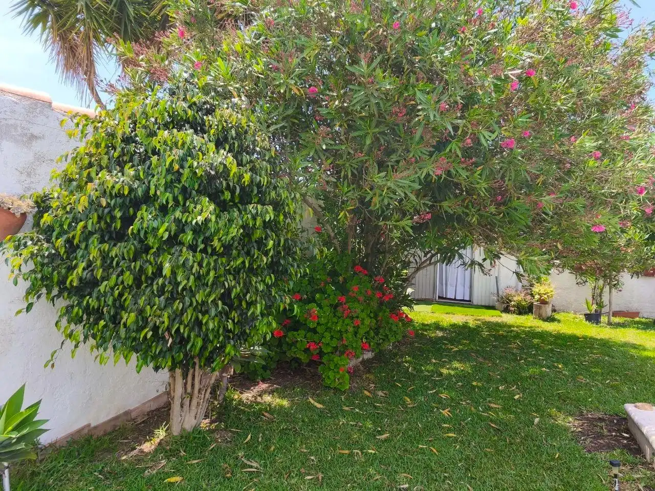 Jardín de Casa o chalet en venta en Chiclana de la Frontera con Jardín privado, Trastero y Piscina