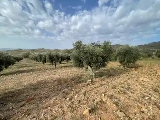 Rustikales Grundstück zum Verkauf in Diseminado la Canal 1, imagen 20