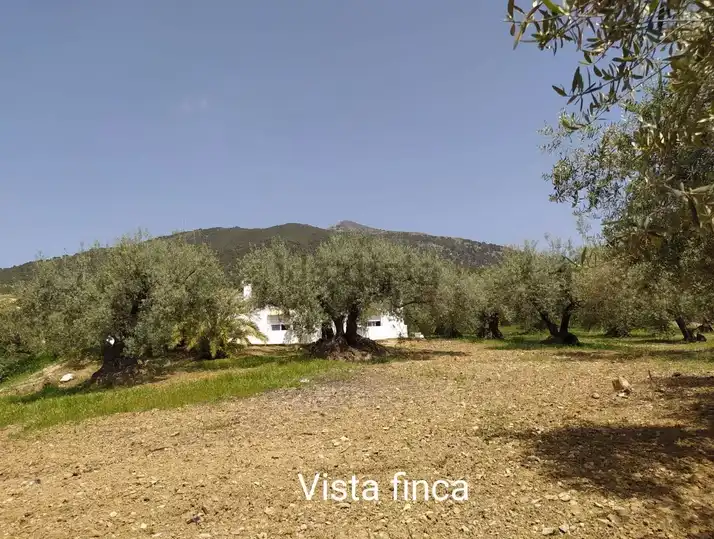 Casa rústica amb jardí en venda a Alcaucín, imagen 7