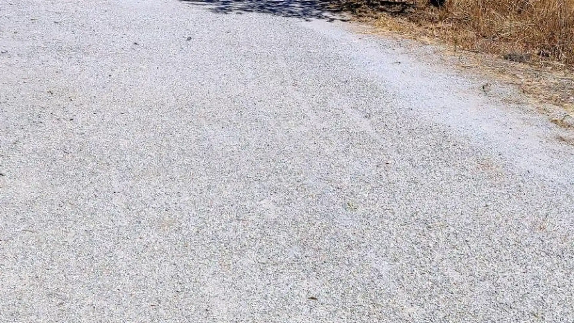 Exterior view of Country homes for sale in Serón