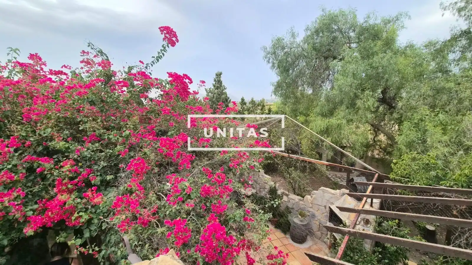 Casa o chalet en venta en Carretera MORALET, Cañada del Fenollar