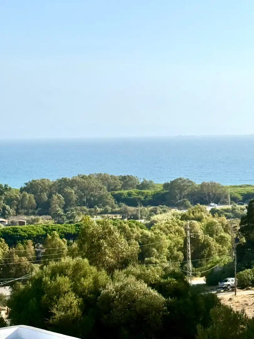 Penthouse mit Terrasse zur Miete in Calle Dehesa de la Peña 18, imagen 4