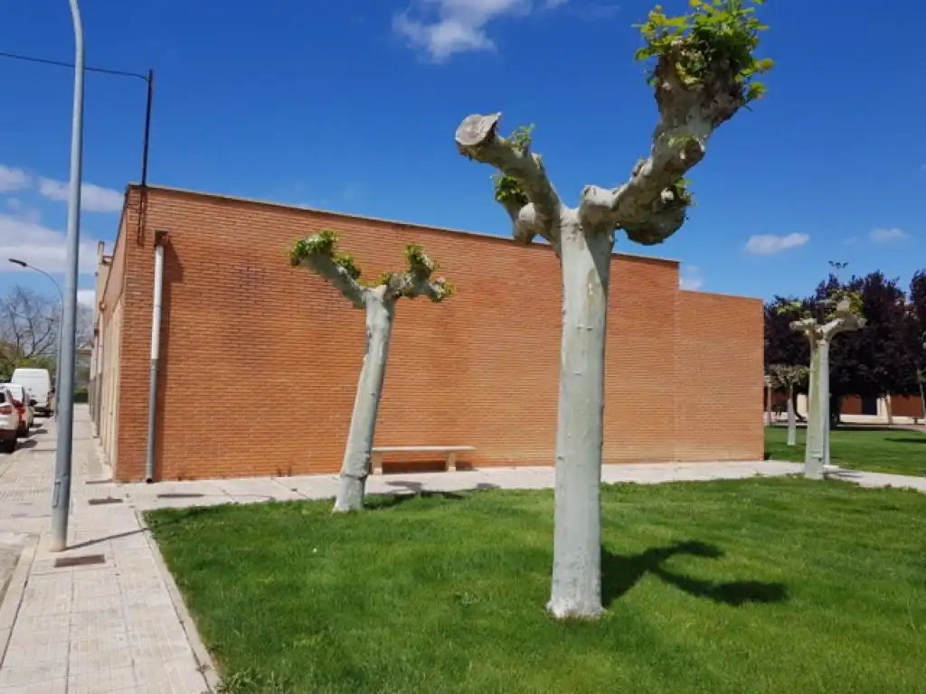 Local comercial en venda a SAN ESTEBAN, imagen 13