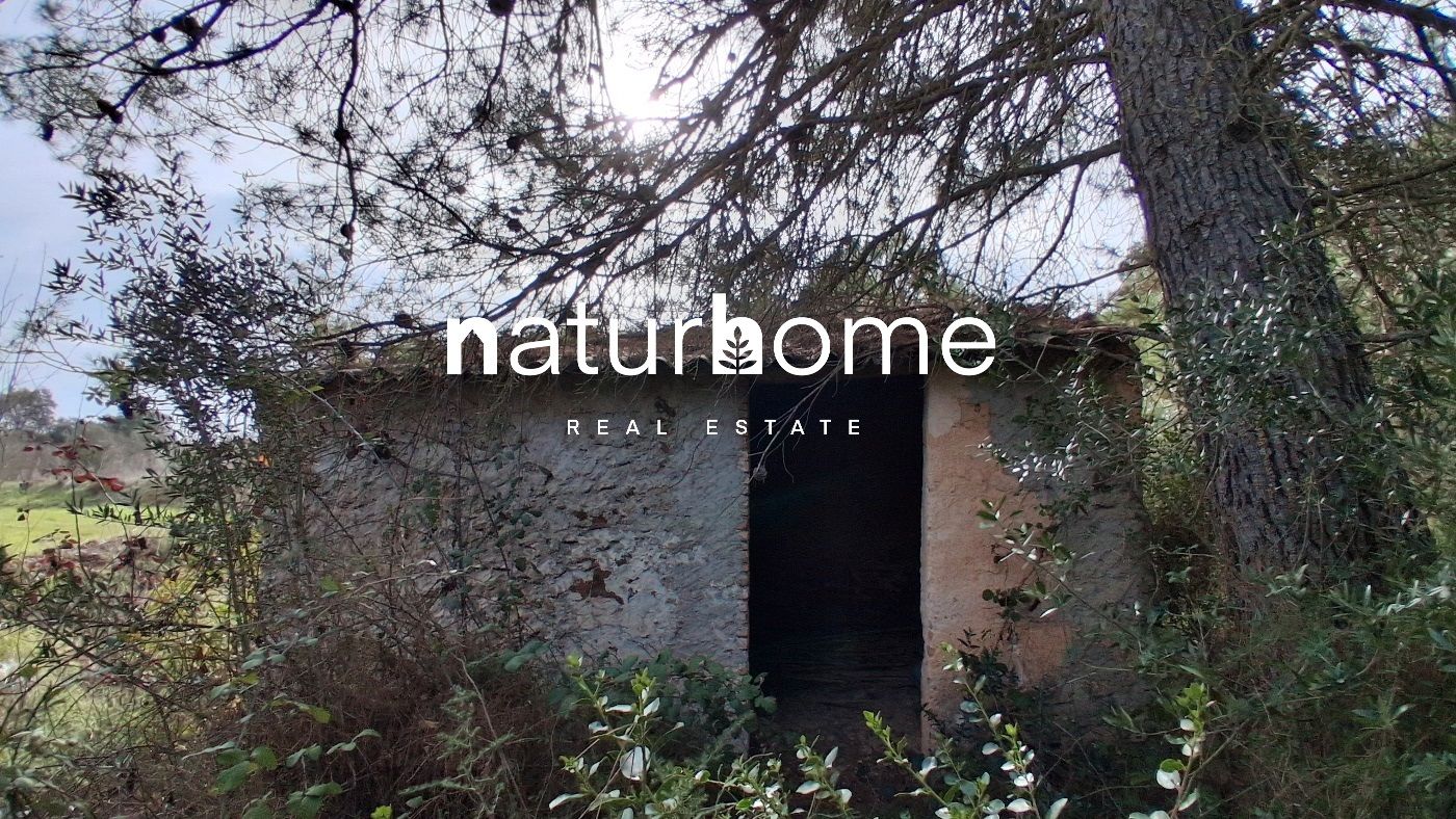 Exterior view of Land for sale in Falset