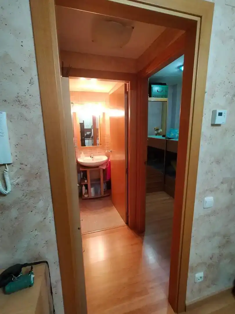Bathroom of Apartments for rent in Puértolas  with Parquet flooring, Furnished and Oven