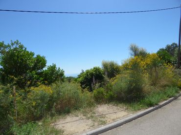 Terreny residencial en venda a Palafolls