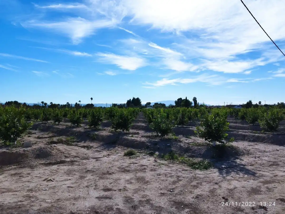 Terreny residencial en venda a El Llano, imagen 18