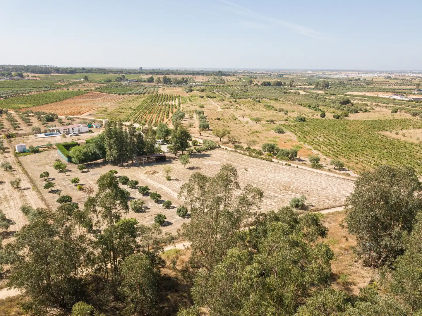 Finca rústica en venta en La Palma del Condado con Jardín privado, Terraza y Piscina