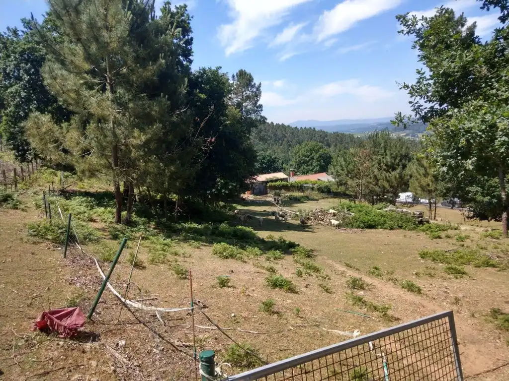 House for sale in Noveledo, imagen 6