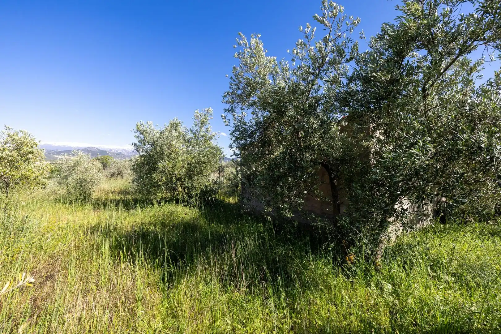 Rural land for sale in Polígono 3 Parcela 220 Arnique, imagen 21