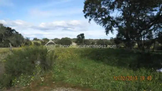 Terreni e lotti in vendita a Arroyo de la Luz, imagen 7