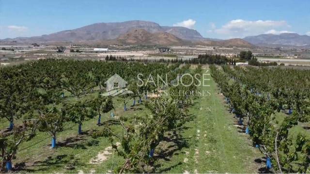 Terreno residencial en Venta en Monforte del Cid