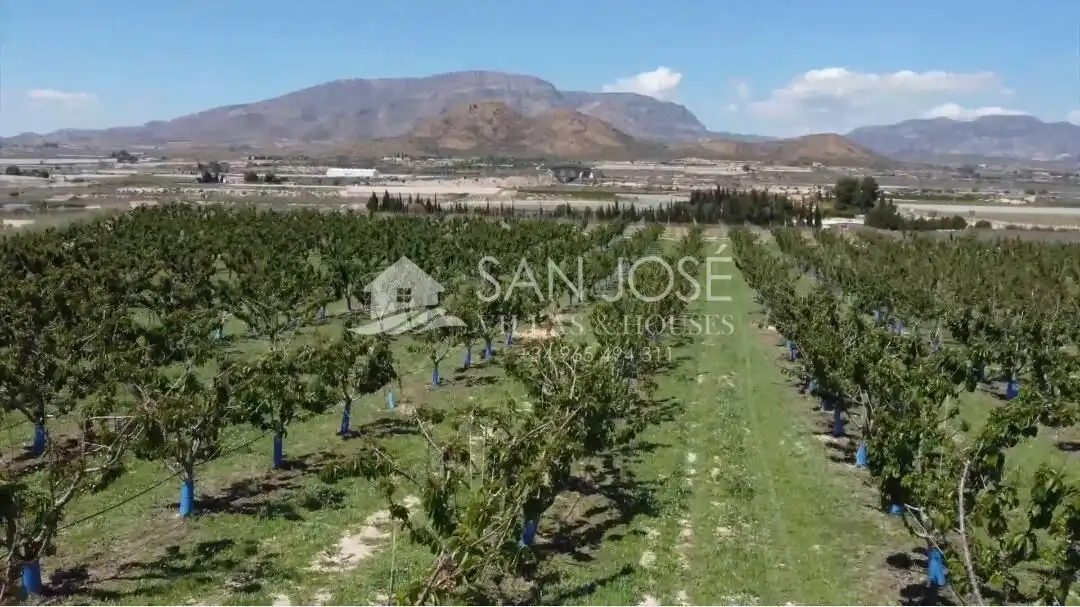 Terreno residencial en venta en Monforte del Cid