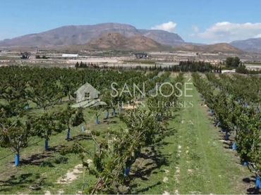 Terreno residencial en venta en Monforte del Cid