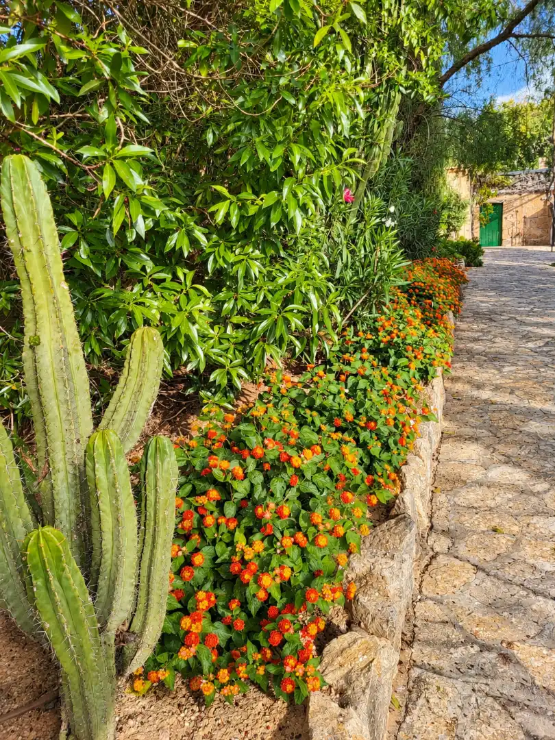 Country house with pool to rent in Port d'Andratx, imagen 64