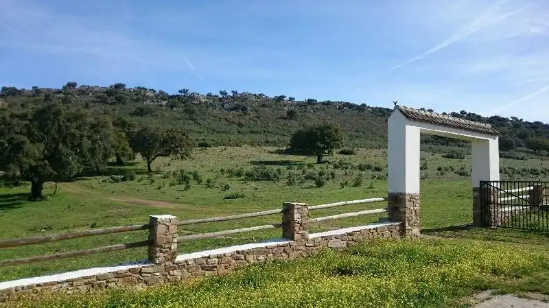 Land for sale in Salorino
