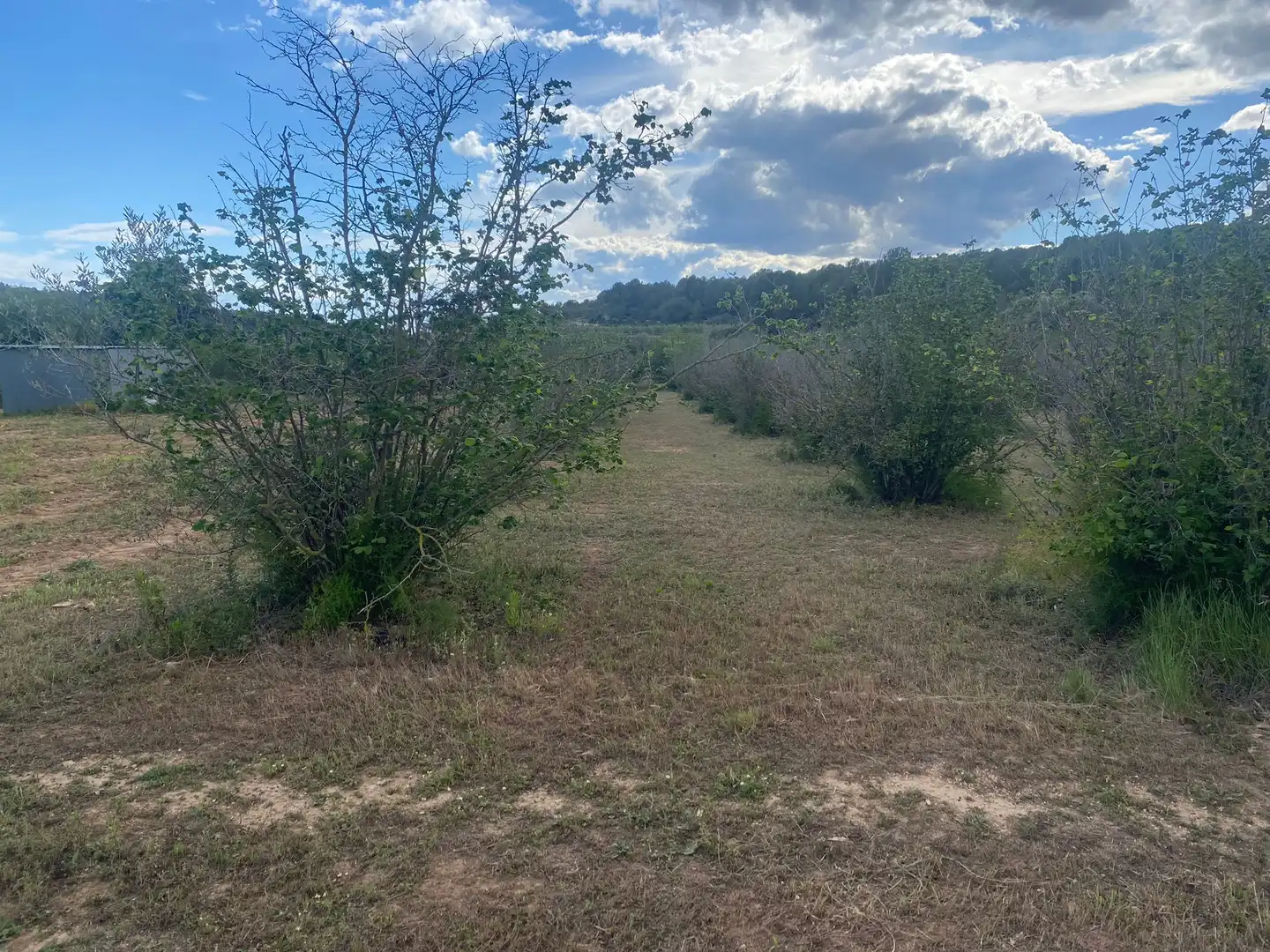 Terreno rustico in vendita a Perafort, imagen 4