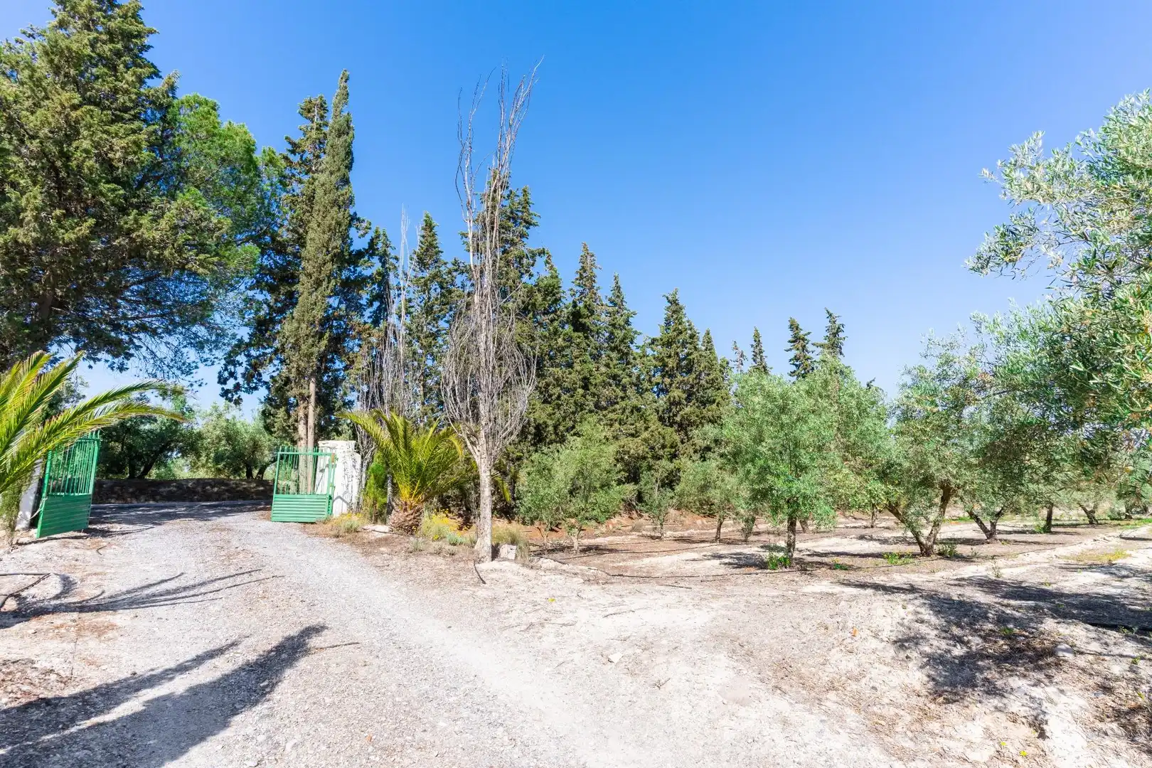 Terreno en venta en Tíjola