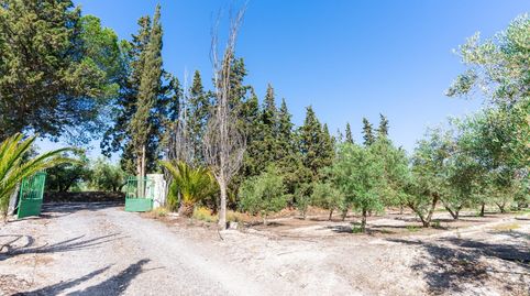 Finca con luz, agua y certificado urbanístico en Tíjola, immagine 4