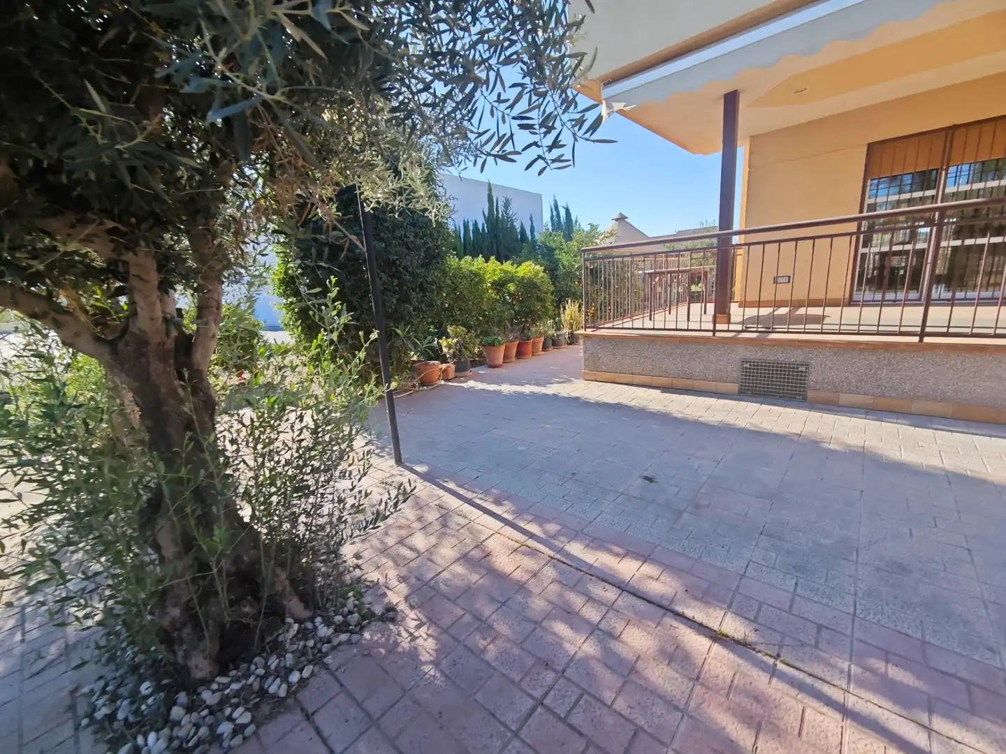 Garden of Houses for sale in Murcia  with Terrace