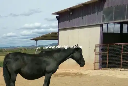 Terreny rústic en venda a Vallfogona de Balaguer, imagen 5