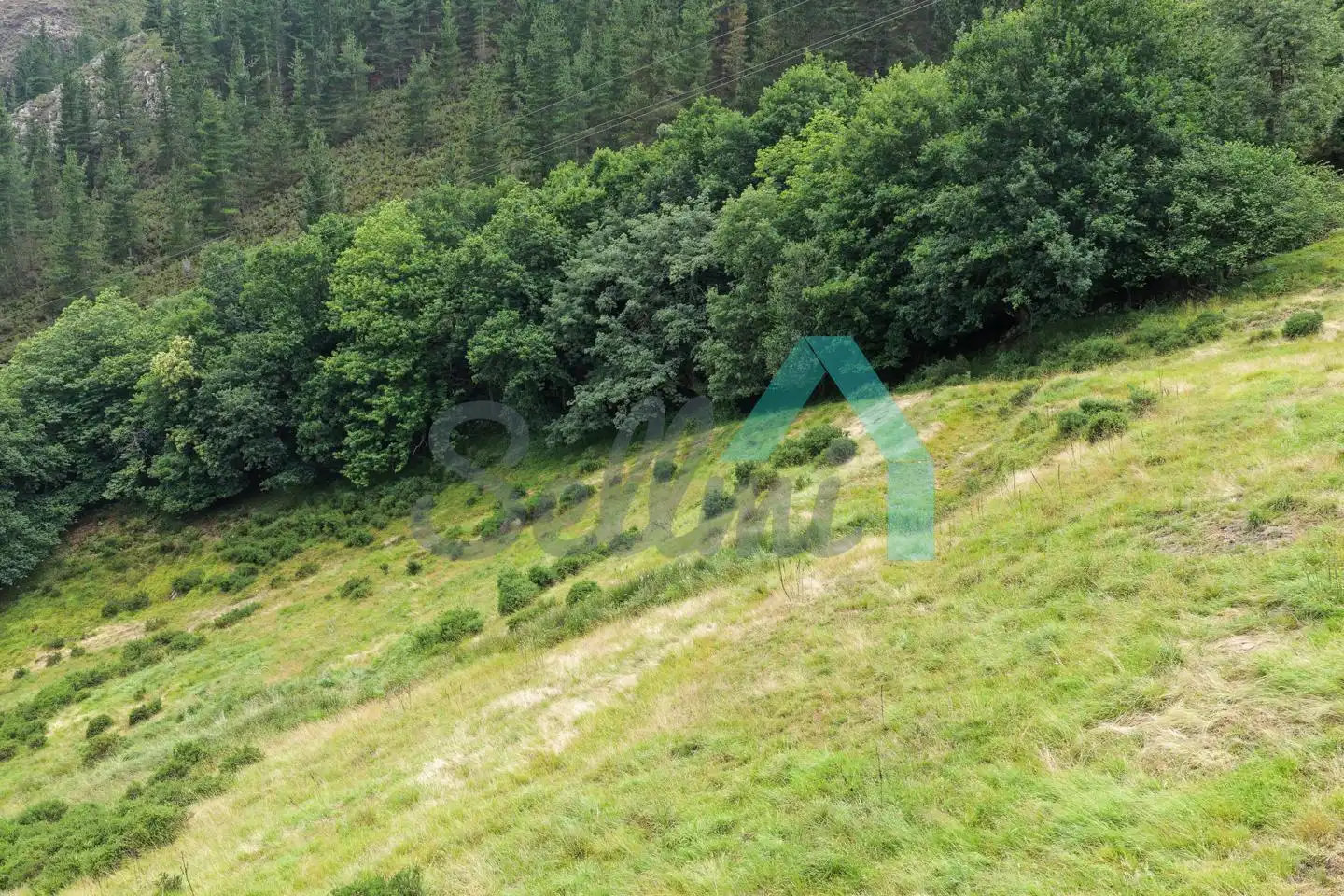 Land for sale in Proaza
