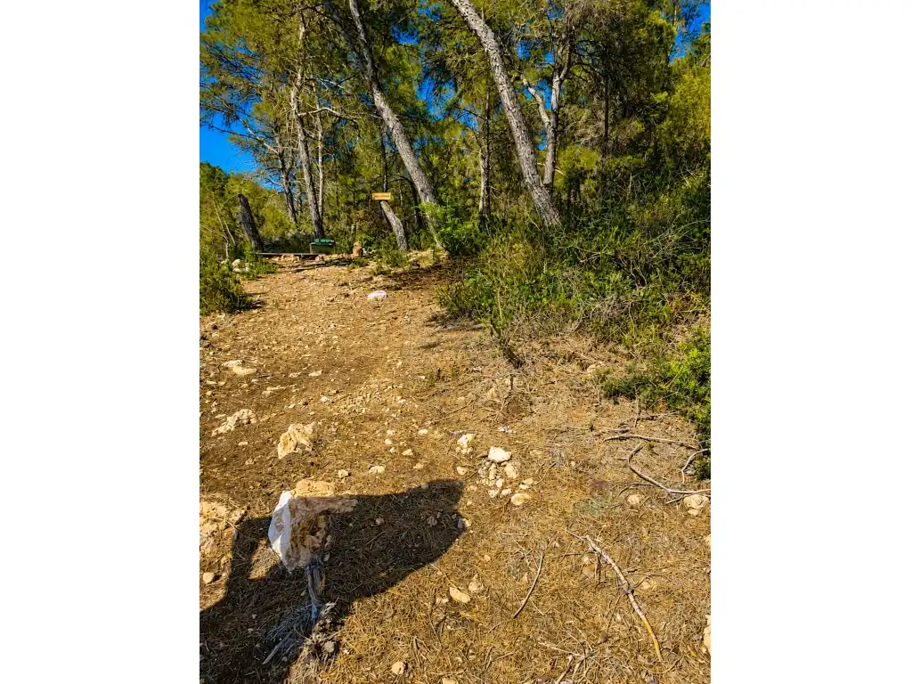 Terreny rústic en venda a Camí Cala Salada, imagen 7