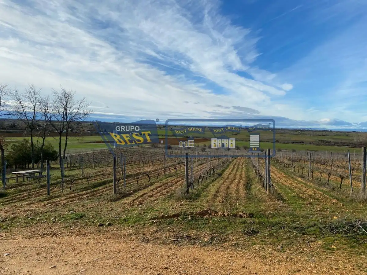 Local en venta en Chozas de Abajo