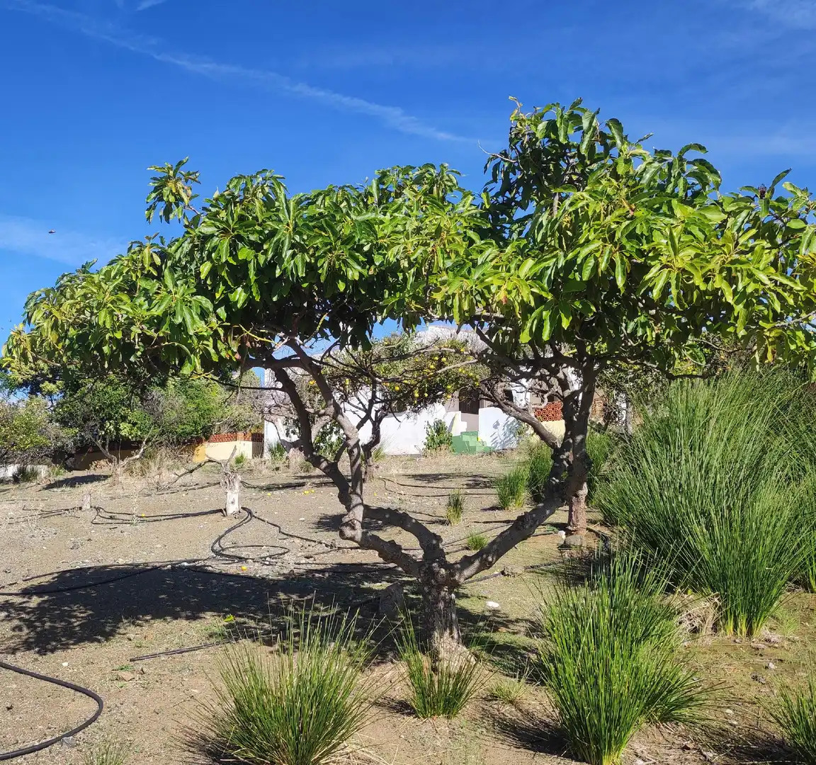 Xalet amb piscina en venda a Estepona Pueblo, imagen 17