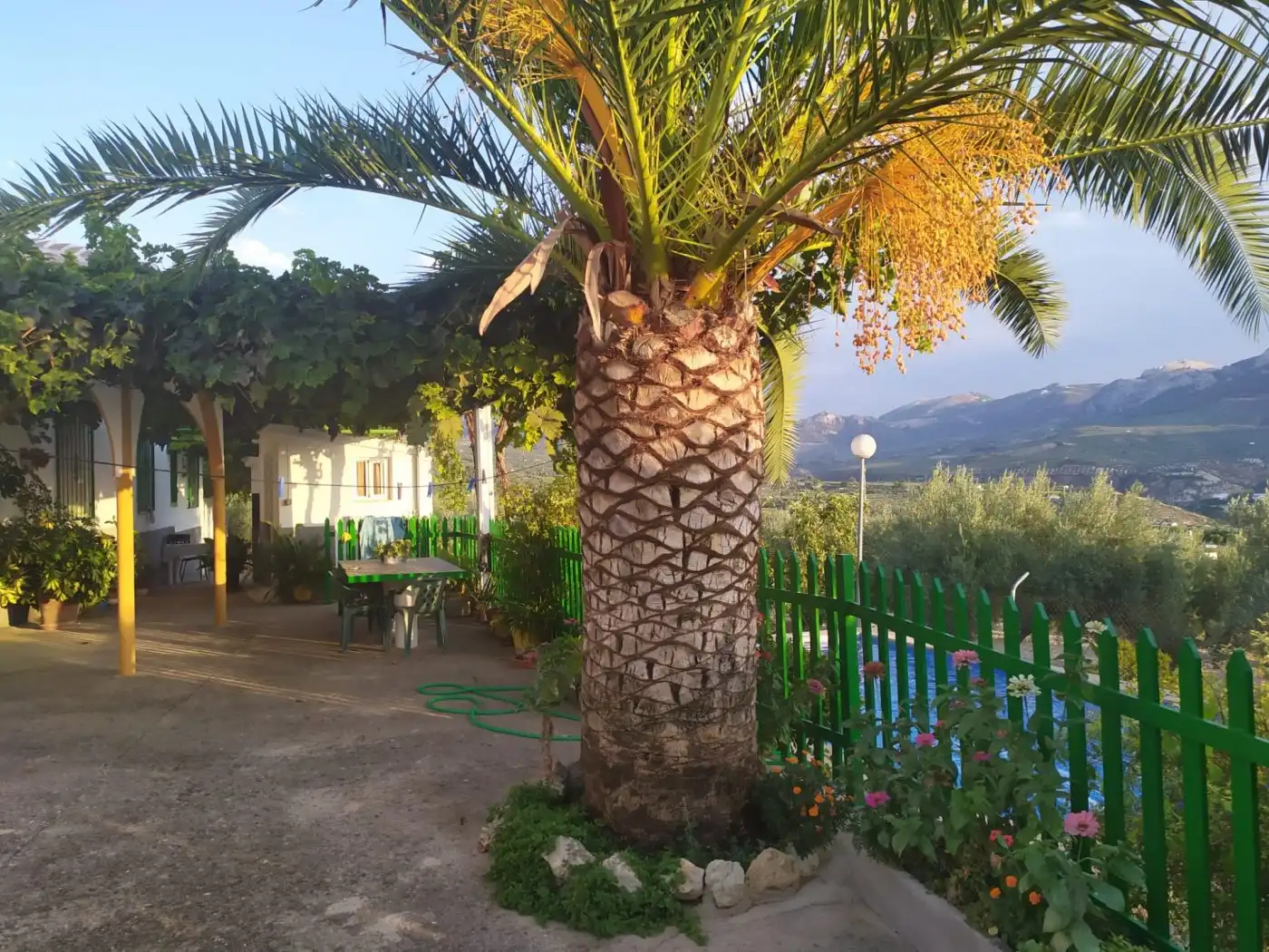 Jardí de Finca rústica en venda en Quesada amb Calefacció, Jardí privat i Terrassa