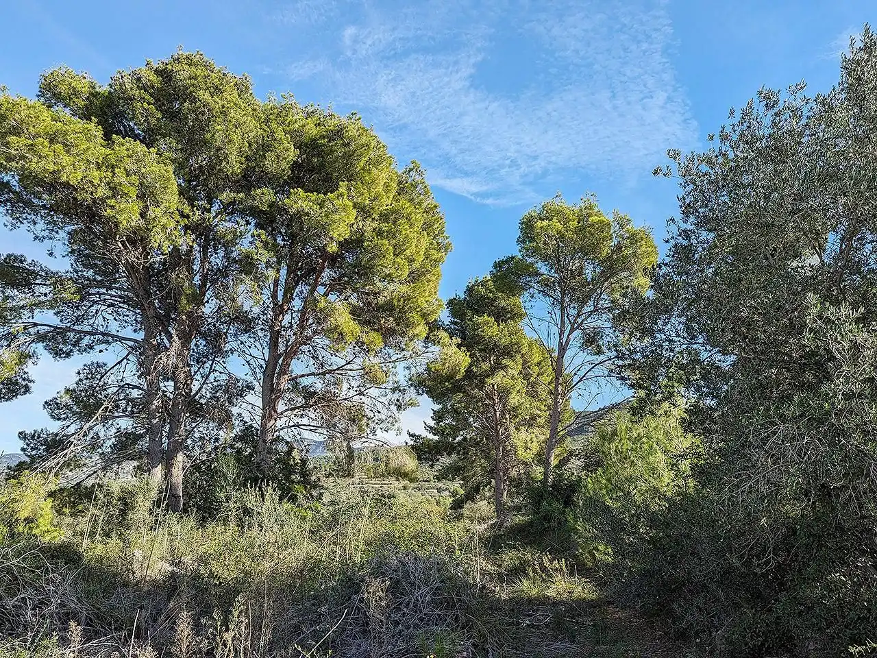 Casa rústica en venta en Ulldecona, imagen 29